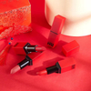 10 piezas de lápiz labial c7878